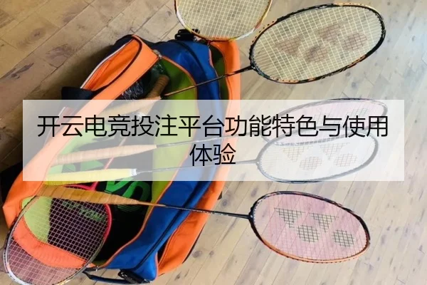 开云电竞投注平台功能特色与使用体验